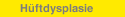 H&uuml;ftdysplasie