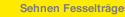 Sehnen Fesseltr&auml;ger